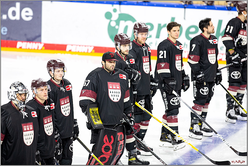 PENNY DEL;  Koelner Haie - Grizzlys Wolfsburg; Koeln, 29.01.2021